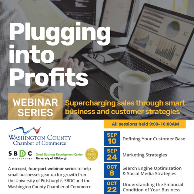 thumbnail of Plugging Into Profits flyer