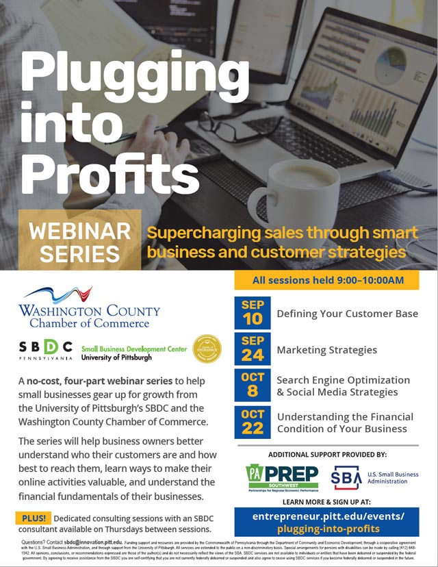 thumbnail of Plugging Into Profits flyer